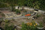 81563-modellbau-336-133+396+3241-16.06.2023.jpg