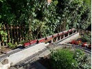 20170614_182750.jpg