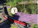 20170614_182901.jpg