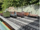 wagons_posing_Aug23.jpg