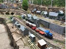 IMG_8809.jpeg