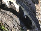 IMG_8887.jpeg