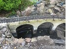 IMG_8890.jpeg