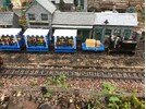 IMG_8946.jpeg