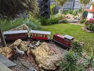 PXL_20231008_114144941.jpg