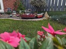 PXL_20231008_114202286.jpg