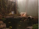 20231008_194350.jpg 20231008_194350.jpg