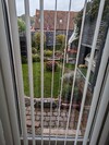 PXL_20231019_113247407.jpg