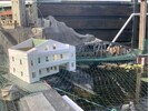 IMG_7571.jpeg