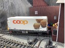 IMG_7580.jpeg