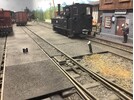 IMG_7668.jpeg IMG_7668.jpeg