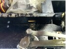 IMG_7696.jpeg IMG_7696.jpeg