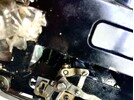 IMG_7693.jpeg IMG_7693.jpeg