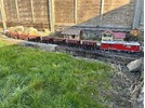 IMG_0491.jpeg