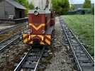 IMG_4790.jpeg