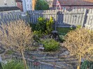 PXL_20231216_113051382.jpg