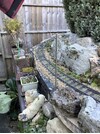 IMG_7808.jpeg