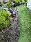 IMG_4970.jpeg