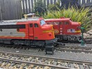 PXL_20240225_145126494.jpg