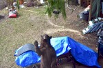 DSC_3244.JPG