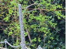 20240316_075553.jpg