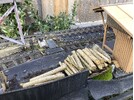 IMG_7886.jpeg