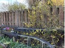 IMG_7885.jpeg