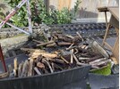 IMG_7883.jpeg