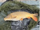 IMG_2031.jpeg