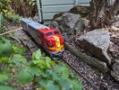 PXL_20240323_095750760.MP.jpg
