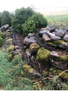 IMG_1750.jpeg