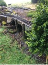 IMG_1749.jpeg