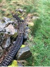 IMG_1748.jpeg
