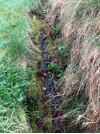 IMG_1747.jpeg
