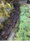 IMG_1745.jpeg