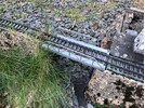 IMG_1761.jpeg
