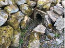 IMG_1763.jpeg