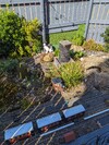 PXL_20240330_105805406.jpg