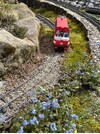 IMG_2048.jpeg
