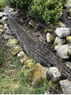 IMG_1802.jpeg