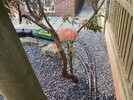IMG_0531.jpeg