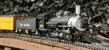 IMG_2702-compressed.png
