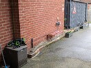 PXL_20240408_171319384.jpg