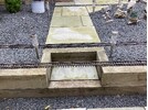 IMG_0544.jpeg