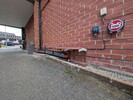PXL_20240416_100644531.jpg