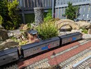 PXL_20240416_120505684.jpg