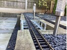 IMG_0564.jpeg