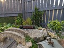 PXL_20240502_180420532.jpg