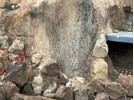 IMG_7971.jpeg