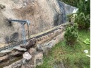 IMG_7970.jpeg